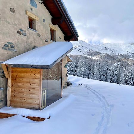 Alpine Dream House - Chalet Gressan Exterior foto